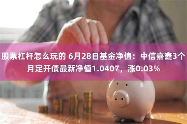 股票杠杆怎么玩的 6月28日基金净值：中信嘉鑫3个月定开债最新净值1.0407，涨0.03%