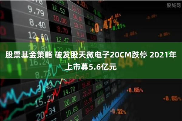 股票基金策略 破发股天微电子20CM跌停 2021年上市募5.6亿元