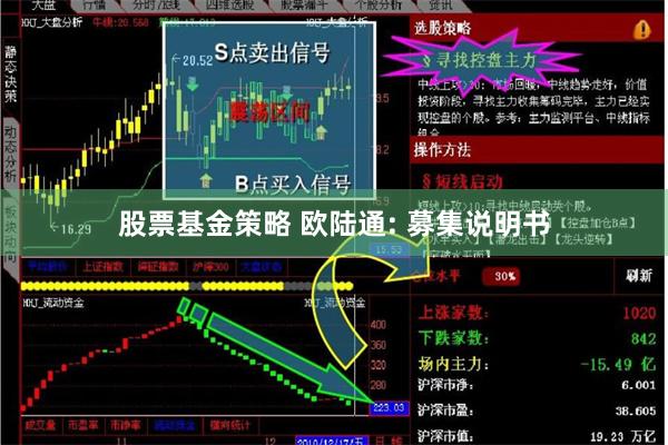 股票基金策略 欧陆通: 募集说明书