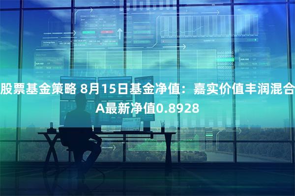 股票基金策略 8月15日基金净值：嘉实价值丰润混合A最新净值0.8928