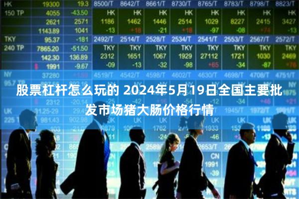 股票杠杆怎么玩的 2024年5月19日全国主要批发市场猪大肠价格行情