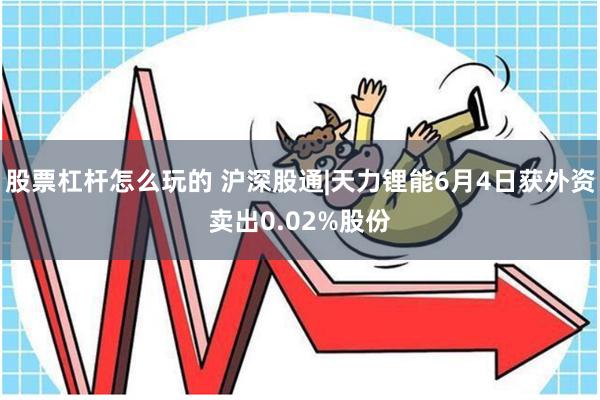 股票杠杆怎么玩的 沪深股通|天力锂能6月4日获外资卖出0.02%股份