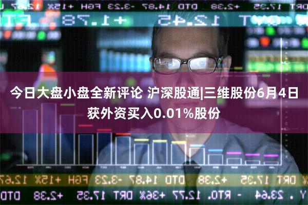 今日大盘小盘全新评论 沪深股通|三维股份6月4日获外资买入0.01%股份