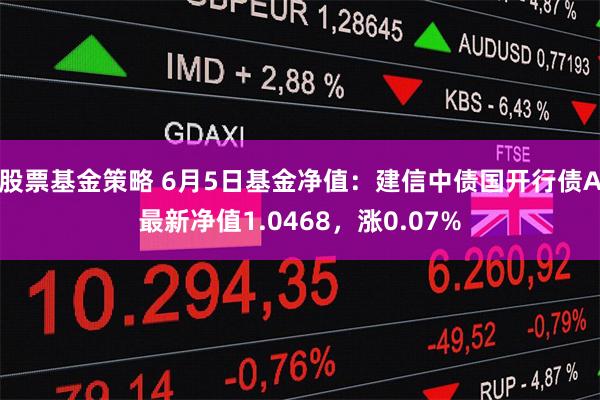 股票基金策略 6月5日基金净值：建信中债国开行债A最新净值1.0468，涨0.07%