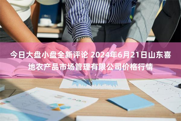 今日大盘小盘全新评论 2024年6月21日山东喜地农产品市场管理有限公司价格行情