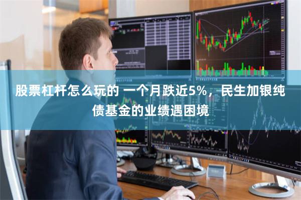 股票杠杆怎么玩的 一个月跌近5%，民生加银纯债基金的业绩遇困境