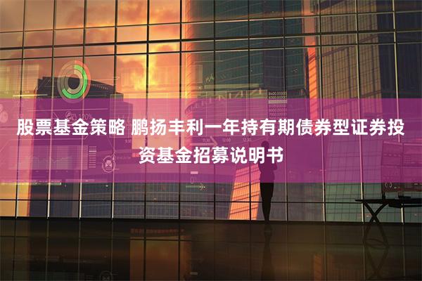 股票基金策略 鹏扬丰利一年持有期债券型证券投资基金招募说明书