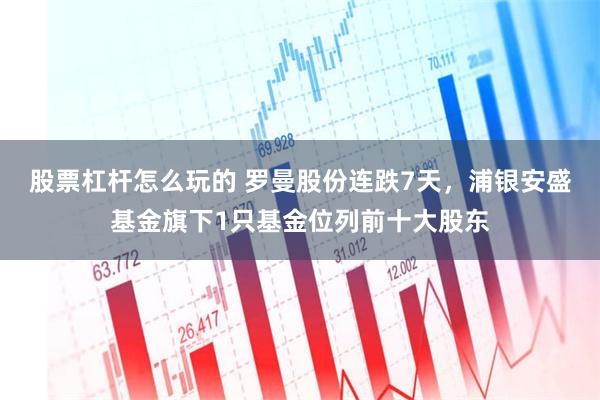 股票杠杆怎么玩的 罗曼股份连跌7天，浦银安盛基金旗下1只基金位列前十大股东