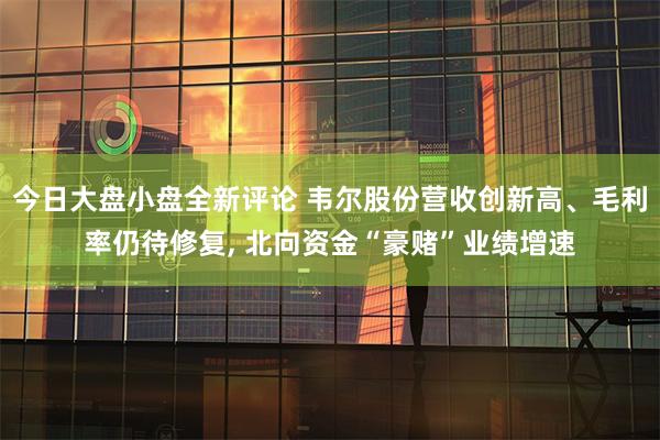 今日大盘小盘全新评论 韦尔股份营收创新高、毛利率仍待修复, 北向资金“豪赌”业绩增速