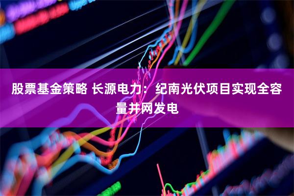 股票基金策略 长源电力：纪南光伏项目实现全容量并网发电