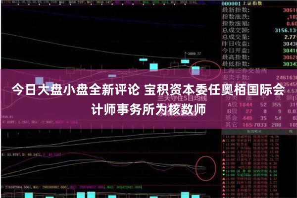 今日大盘小盘全新评论 宝积资本委任奥栢国际会计师事务所为核数师