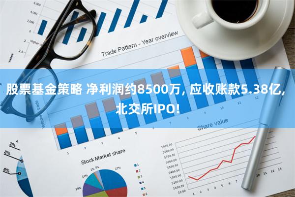 股票基金策略 净利润约8500万, 应收账款5.38亿, 北交所IPO!