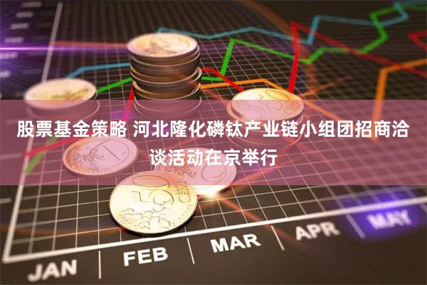 股票基金策略 河北隆化磷钛产业链小组团招商洽谈活动在京举行