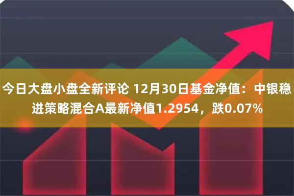 今日大盘小盘全新评论 12月30日基金净值：中银稳进策略混合A最新净值1.2954，跌0.07%