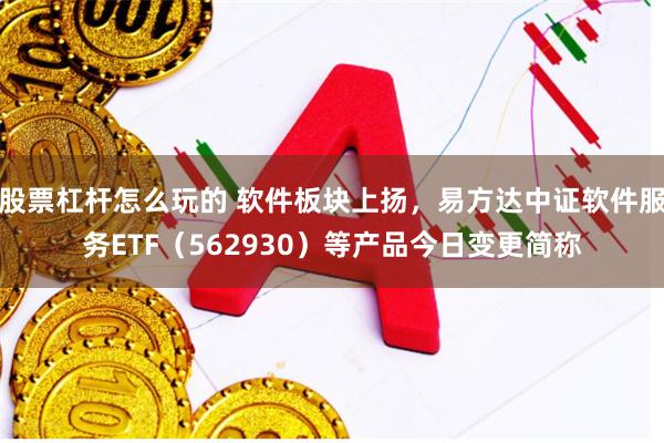 股票杠杆怎么玩的 软件板块上扬，易方达中证软件服务ETF（562930）等产品今日变更简称