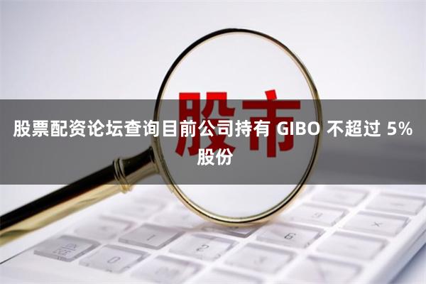 股票配资论坛查询目前公司持有 GIBO 不超过 5% 股份