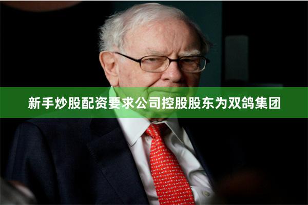 新手炒股配资要求公司控股股东为双鸽集团