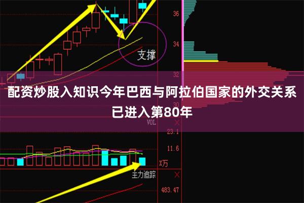 配资炒股入知识今年巴西与阿拉伯国家的外交关系已进入第80年